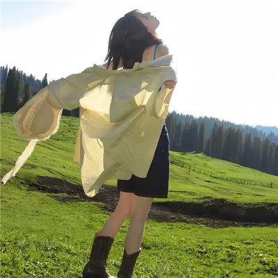 邦妮·帕克的故事